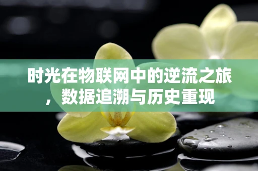 时光在物联网中的逆流之旅，数据追溯与历史重现