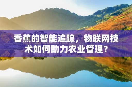 香蕉的智能追踪，物联网技术如何助力农业管理？