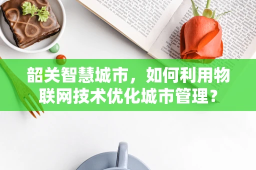 韶关智慧城市，如何利用物联网技术优化城市管理？