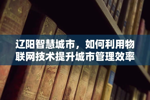 辽阳智慧城市，如何利用物联网技术提升城市管理效率？