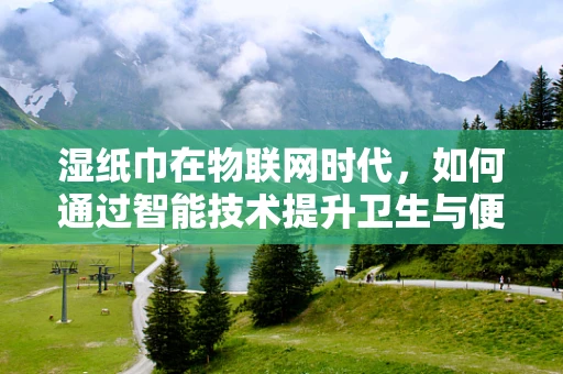 湿纸巾在物联网时代，如何通过智能技术提升卫生与便利性？