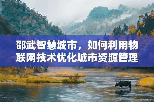 邵武智慧城市，如何利用物联网技术优化城市资源管理？