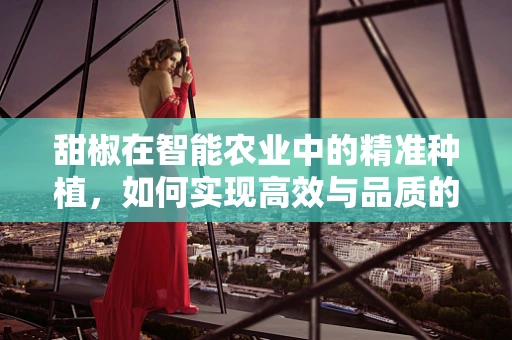 甜椒在智能农业中的精准种植，如何实现高效与品质的双重提升？