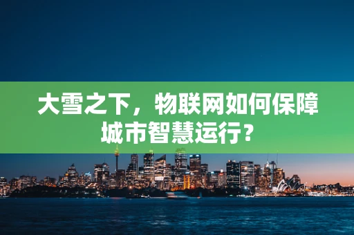 大雪之下，物联网如何保障城市智慧运行？