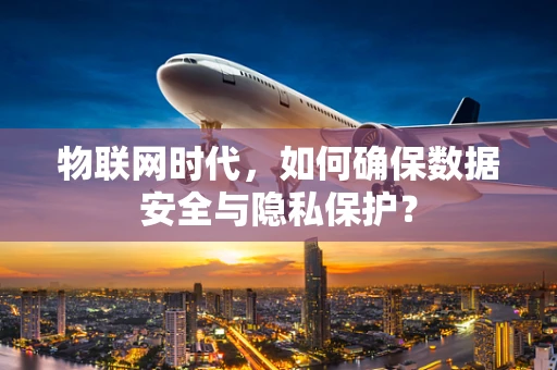 物联网时代，如何确保数据安全与隐私保护？