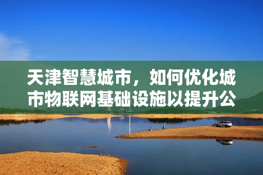 天津智慧城市，如何优化城市物联网基础设施以提升公共服务效率？