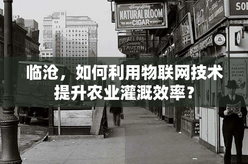 临沧，如何利用物联网技术提升农业灌溉效率？