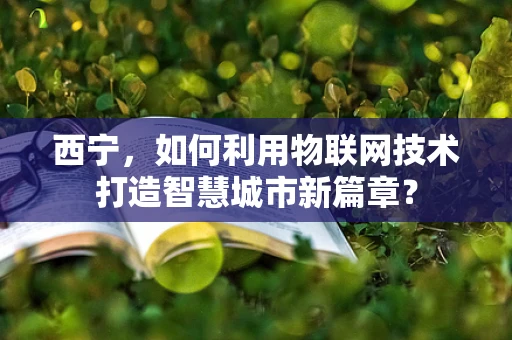 西宁，如何利用物联网技术打造智慧城市新篇章？