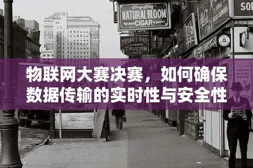 物联网大赛决赛，如何确保数据传输的实时性与安全性？
