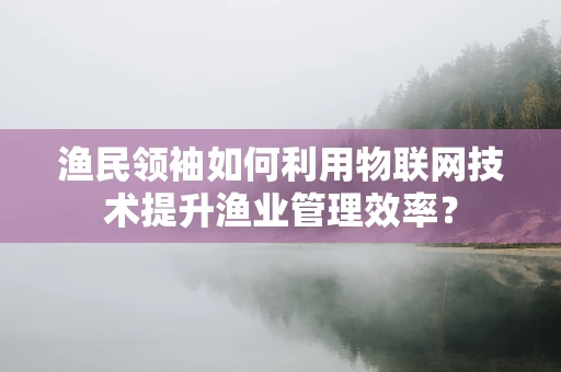 渔民领袖如何利用物联网技术提升渔业管理效率？