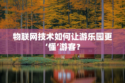 物联网技术如何让游乐园更‘懂’游客？