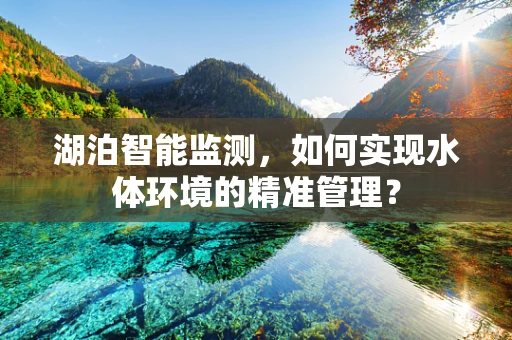 湖泊智能监测，如何实现水体环境的精准管理？