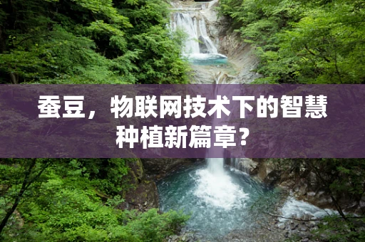 蚕豆，物联网技术下的智慧种植新篇章？
