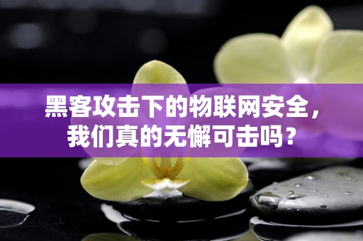 黑客攻击下的物联网安全，我们真的无懈可击吗？