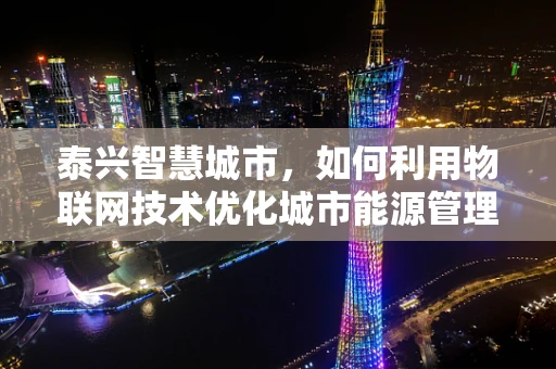 泰兴智慧城市，如何利用物联网技术优化城市能源管理？