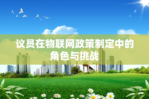 议员在物联网政策制定中的角色与挑战