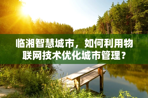 临湘智慧城市，如何利用物联网技术优化城市管理？