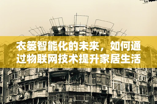 衣篓智能化的未来，如何通过物联网技术提升家居生活体验？