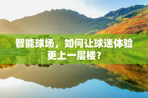 智能球场，如何让球迷体验更上一层楼？