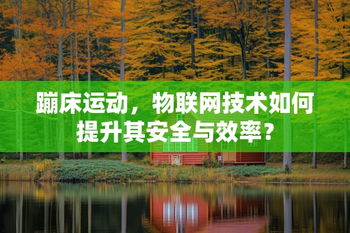 蹦床运动，物联网技术如何提升其安全与效率？