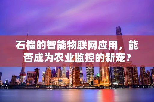 石榴的智能物联网应用，能否成为农业监控的新宠？