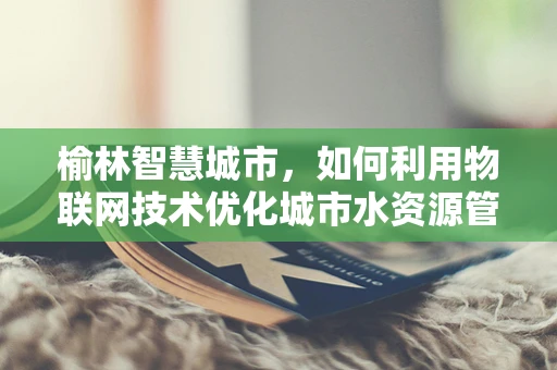 榆林智慧城市，如何利用物联网技术优化城市水资源管理？