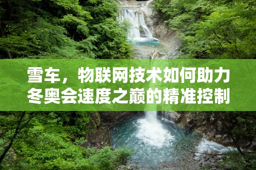 雪车，物联网技术如何助力冬奥会速度之巅的精准控制？