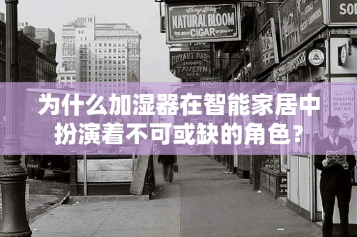 为什么加湿器在智能家居中扮演着不可或缺的角色？
