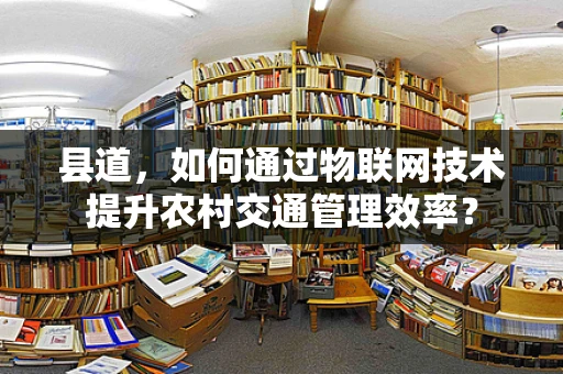 县道，如何通过物联网技术提升农村交通管理效率？