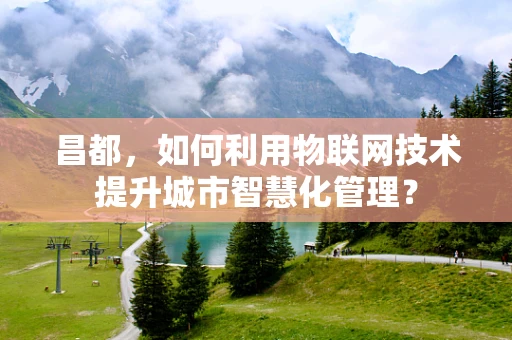 昌都，如何利用物联网技术提升城市智慧化管理？