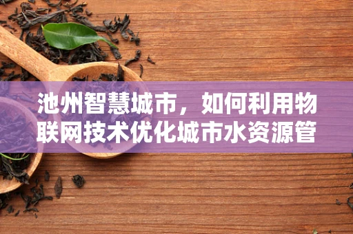 池州智慧城市，如何利用物联网技术优化城市水资源管理？