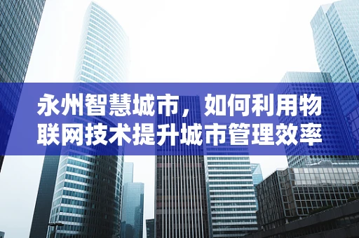 永州智慧城市，如何利用物联网技术提升城市管理效率？