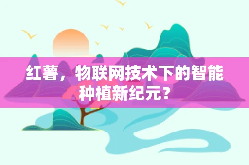 红薯，物联网技术下的智能种植新纪元？