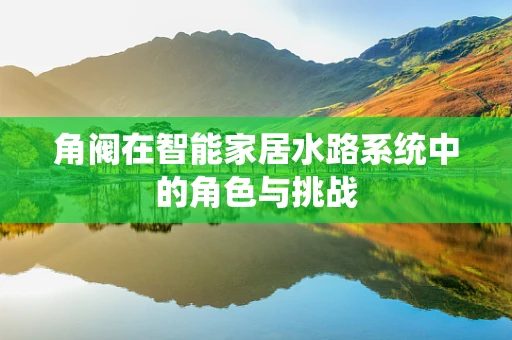 角阀在智能家居水路系统中的角色与挑战