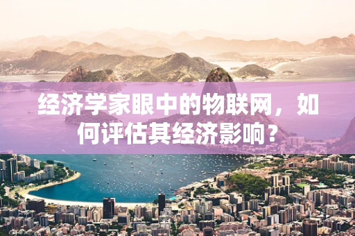 经济学家眼中的物联网，如何评估其经济影响？