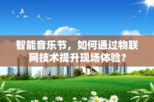智能音乐节，如何通过物联网技术提升现场体验？