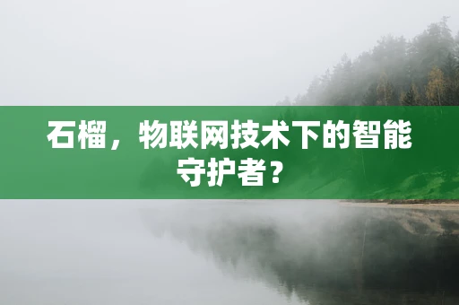 石榴，物联网技术下的智能守护者？