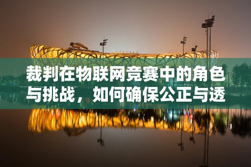裁判在物联网竞赛中的角色与挑战，如何确保公正与透明？
