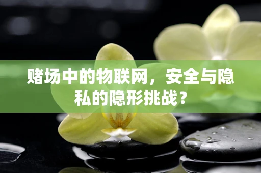 赌场中的物联网，安全与隐私的隐形挑战？