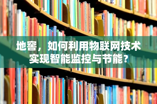 地窖，如何利用物联网技术实现智能监控与节能？