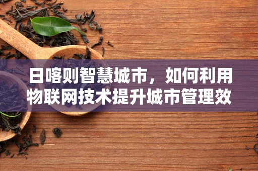 日喀则智慧城市，如何利用物联网技术提升城市管理效率？