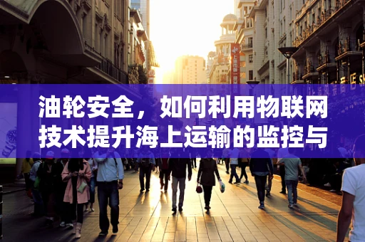 油轮安全，如何利用物联网技术提升海上运输的监控与应急能力？