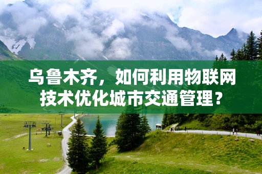 乌鲁木齐，如何利用物联网技术优化城市交通管理？