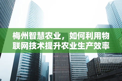 梅州智慧农业，如何利用物联网技术提升农业生产效率？
