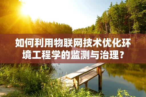 如何利用物联网技术优化环境工程学的监测与治理？