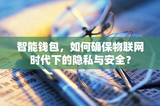 智能钱包，如何确保物联网时代下的隐私与安全？