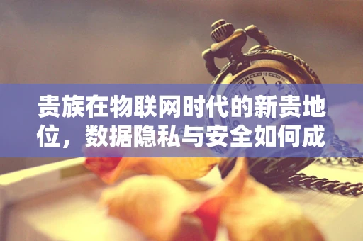 贵族在物联网时代的新贵地位，数据隐私与安全如何成为新的贵族特权？