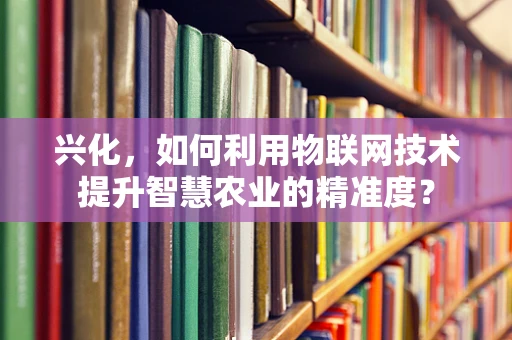 兴化，如何利用物联网技术提升智慧农业的精准度？