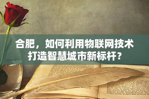 合肥，如何利用物联网技术打造智慧城市新标杆？