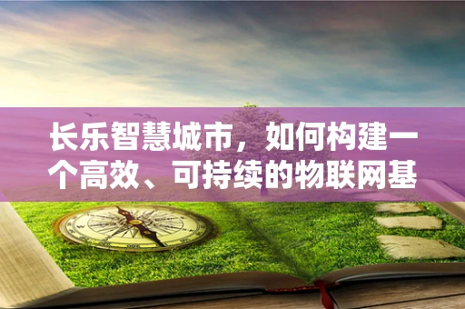长乐智慧城市，如何构建一个高效、可持续的物联网基础设施？